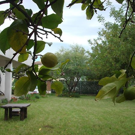 Bed and Breakfast Grazia Deledda Galtellì Exterior foto