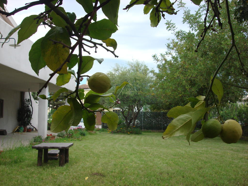 Bed and Breakfast Grazia Deledda Galtellì Exterior foto